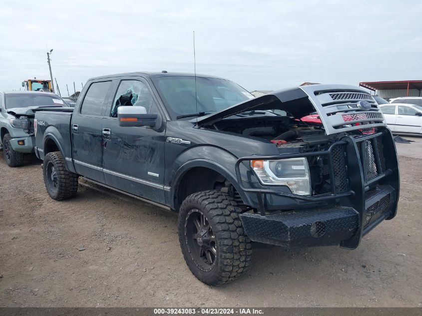 2014 FORD F-150 PLATINUM