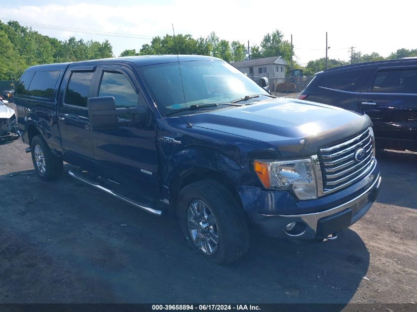 2011 FORD F-150 XLT