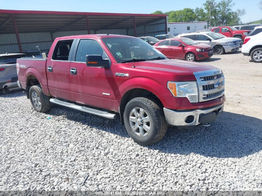 2013 FORD F-150 XLT