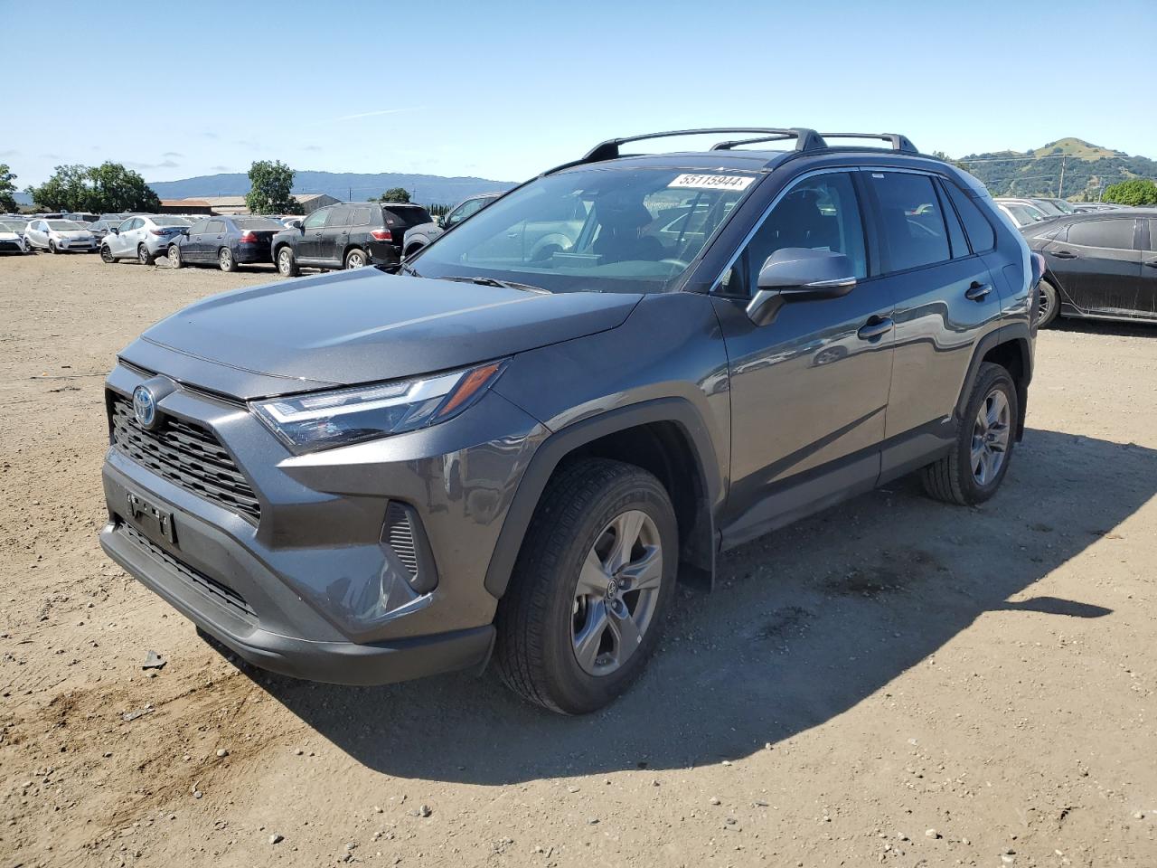 2024 TOYOTA RAV4 LE