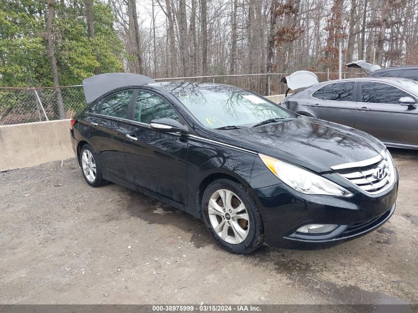 2011 HYUNDAI SONATA LIMITED