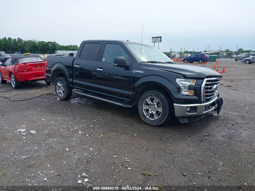 2015 FORD F-150 XLT