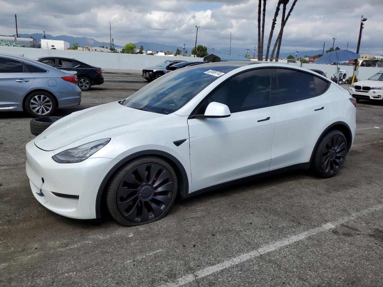 2021 TESLA MODEL Y