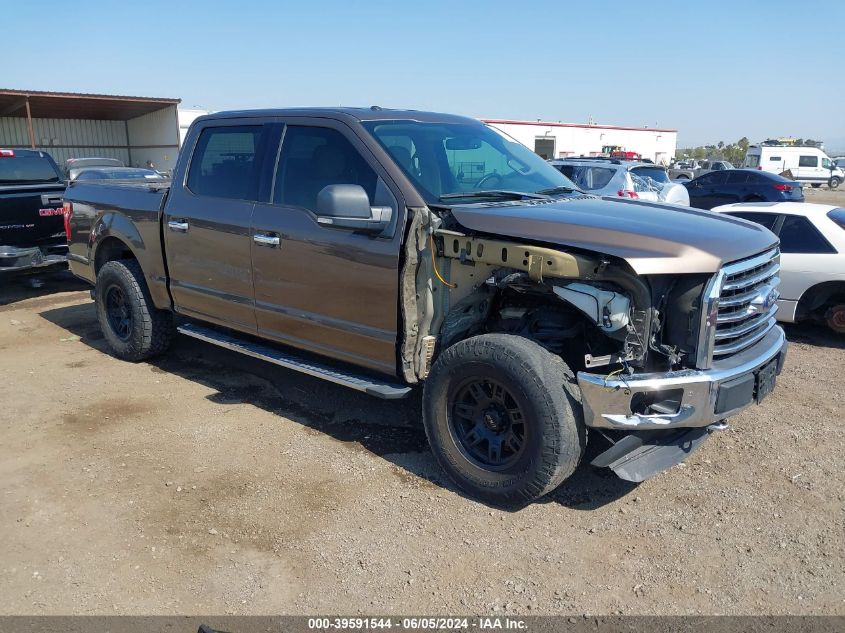 2015 FORD F-150 XLT