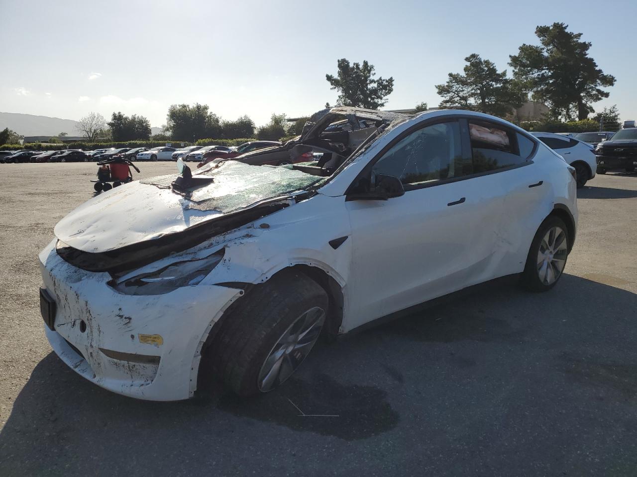 2022 TESLA MODEL Y