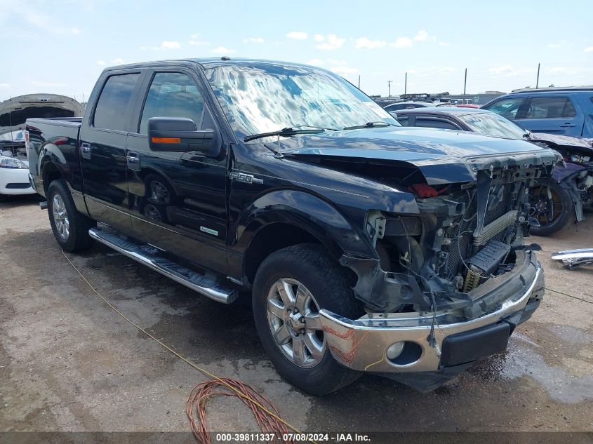 2014 FORD F-150 XLT