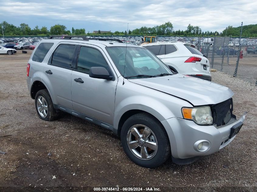 2010 FORD ESCAPE XLT