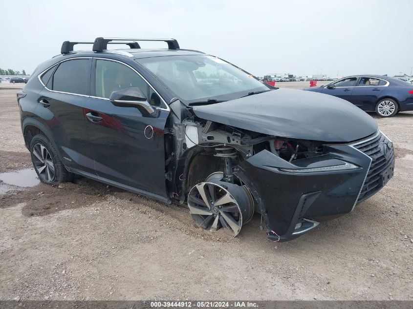 2019 LEXUS NX 300H