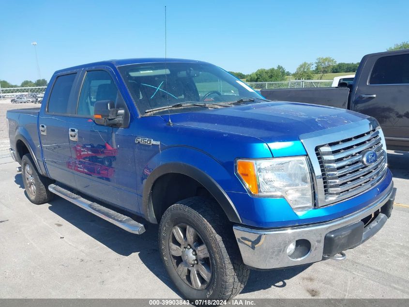 2011 FORD F-150 XLT