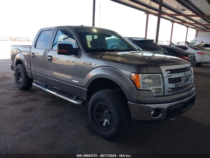 2014 FORD F-150 XLT