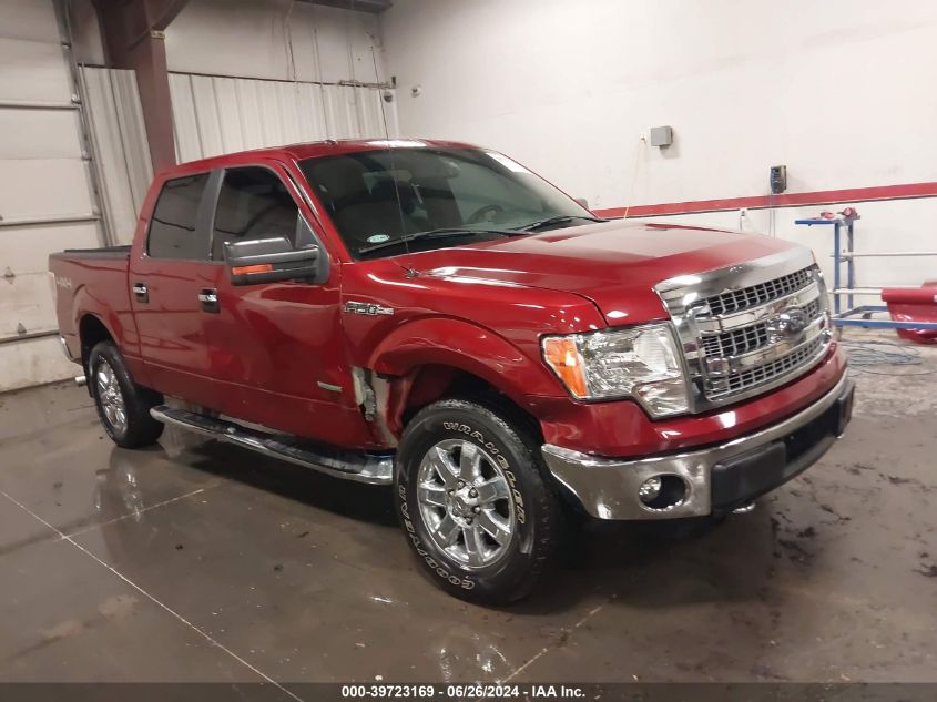 2014 FORD F-150 XLT