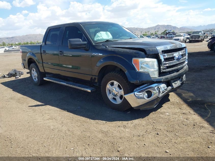 2013 FORD F-150 XLT