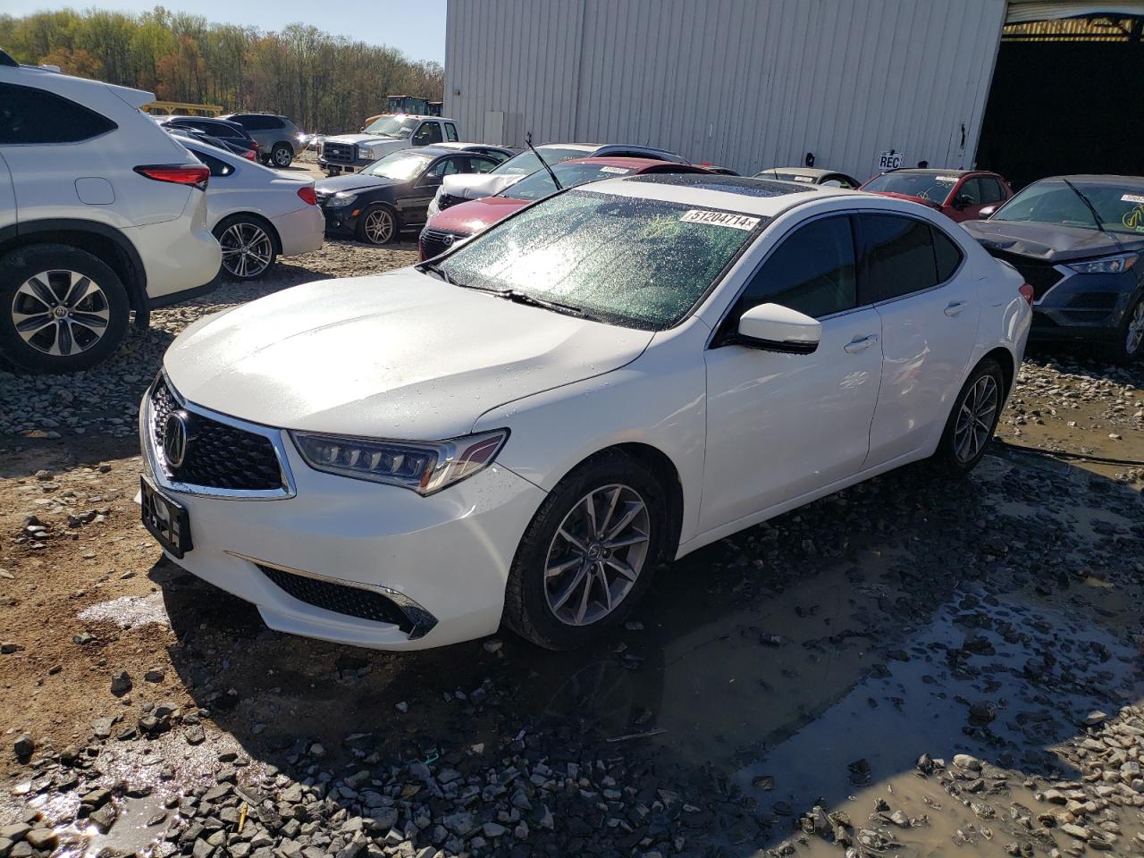 2019 ACURA TLX