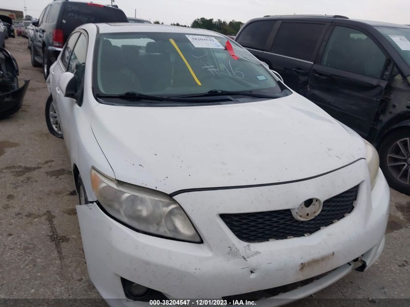 2010 TOYOTA COROLLA XLE