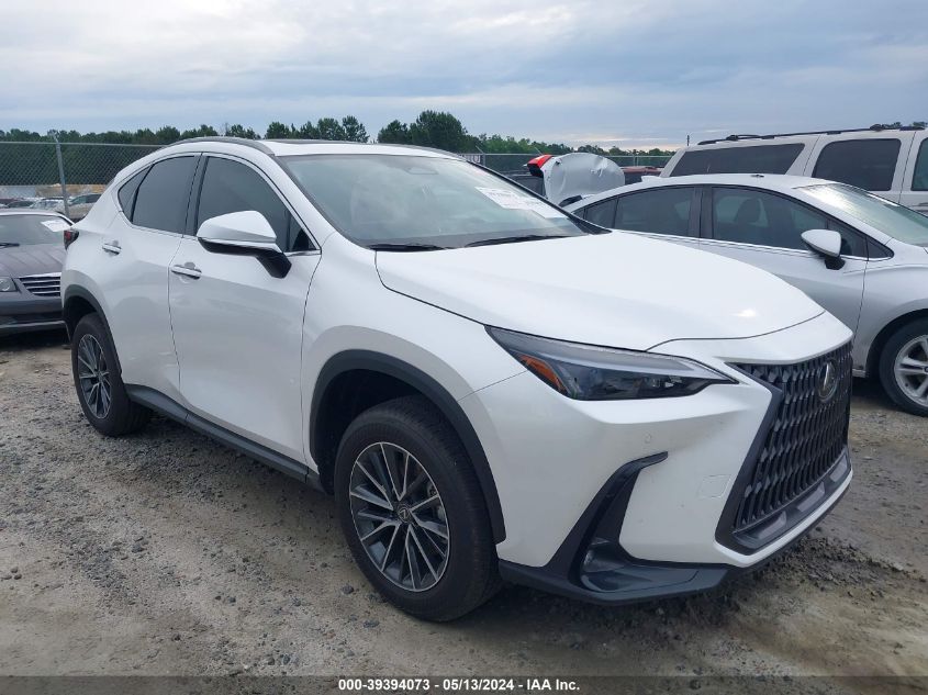 2024 LEXUS NX 250 PREMIUM