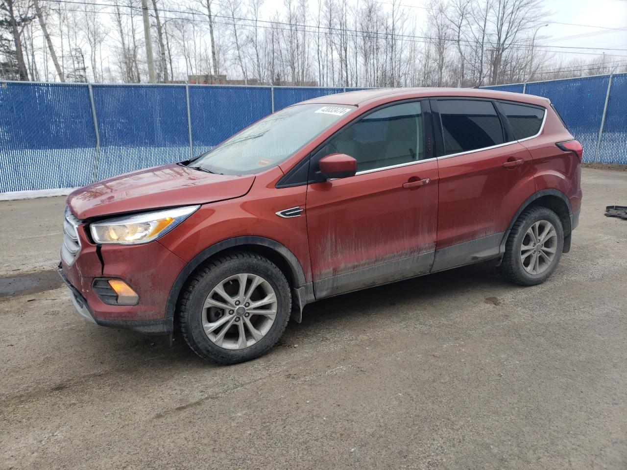 2019 FORD ESCAPE SE