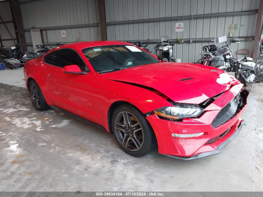 2019 FORD MUSTANG