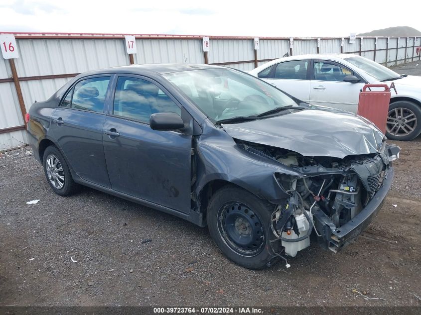 2010 TOYOTA COROLLA