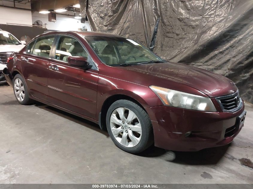 2010 HONDA ACCORD 3.5 EX-L