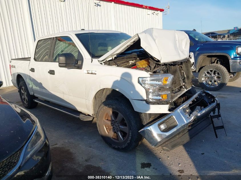 2016 FORD F-150 XLT