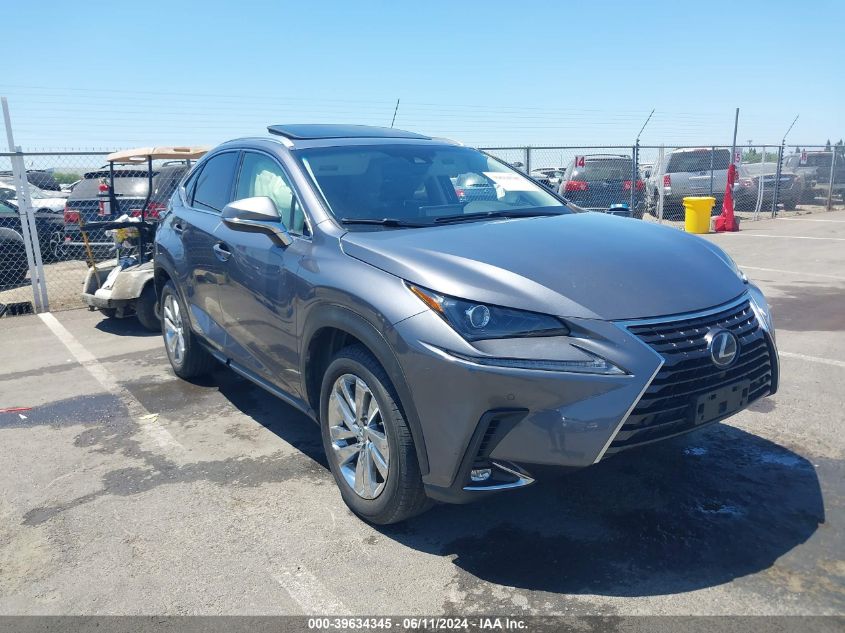 2019 LEXUS NX 300H