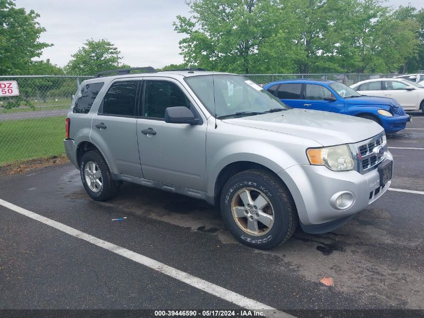 2010 FORD ESCAPE XLT