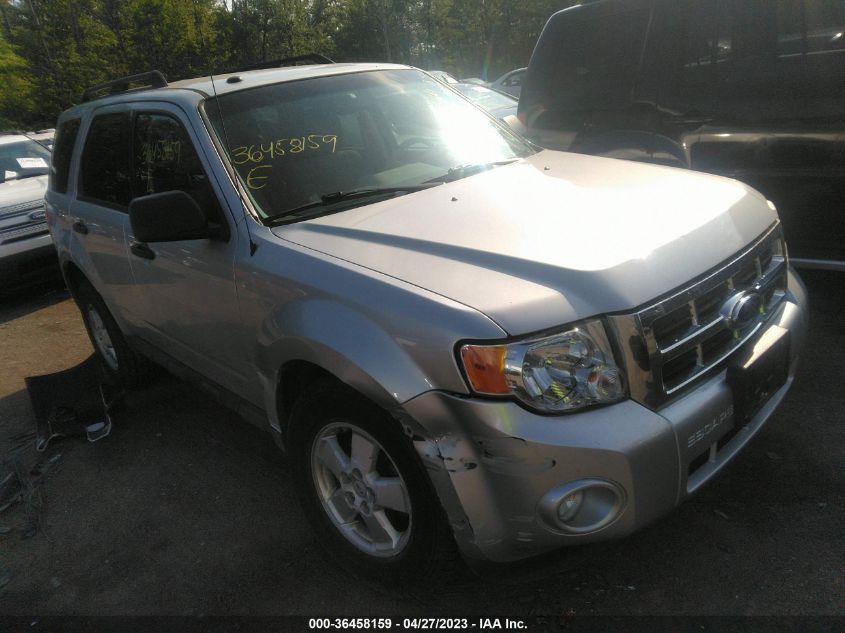 2011 FORD ESCAPE XLT