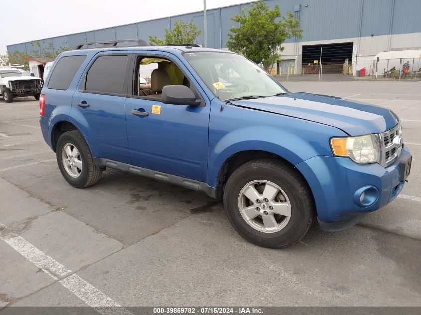 2010 FORD ESCAPE XLT