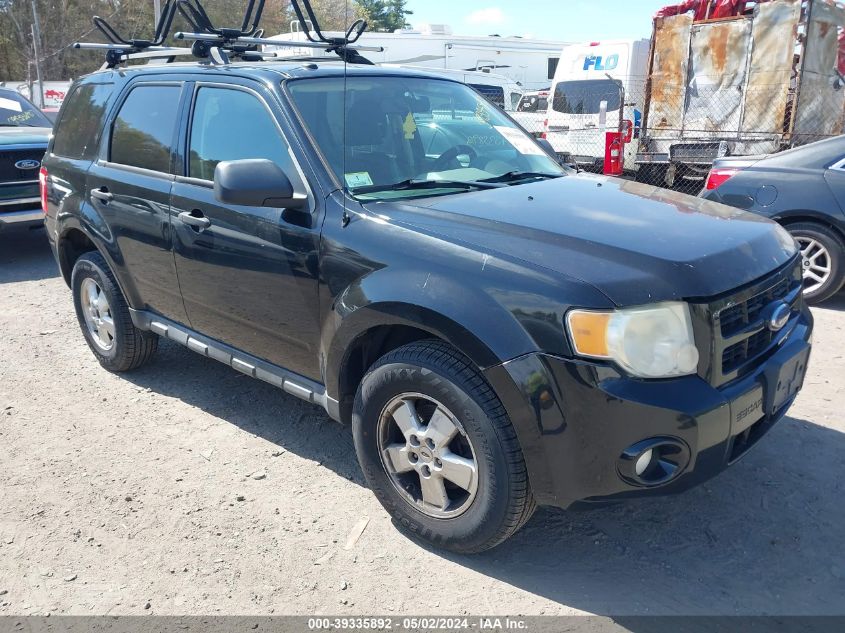 2010 FORD ESCAPE XLT