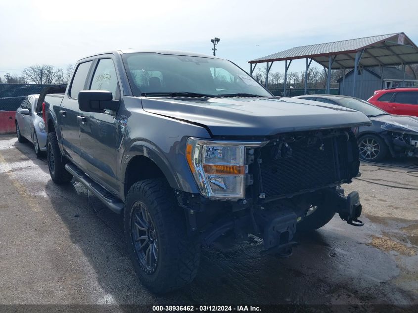 2021 FORD F-150 XLT