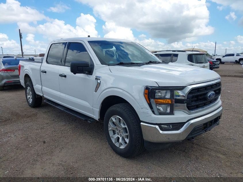 2023 FORD F-150 XLT