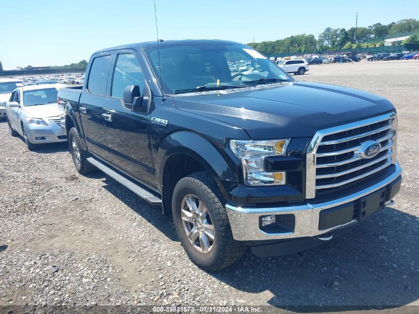 2015 FORD F-150 XLT