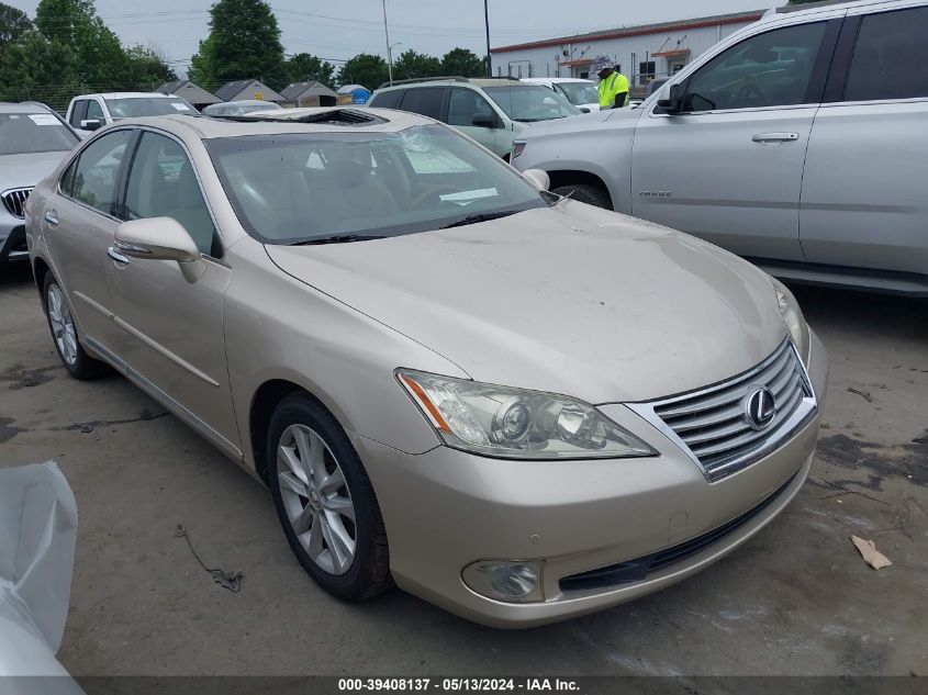 2010 LEXUS ES 350