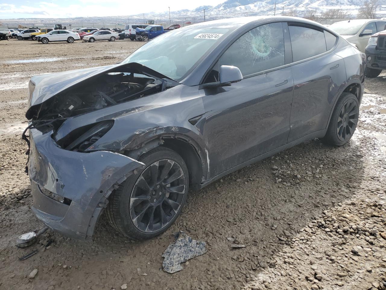 2021 TESLA MODEL Y