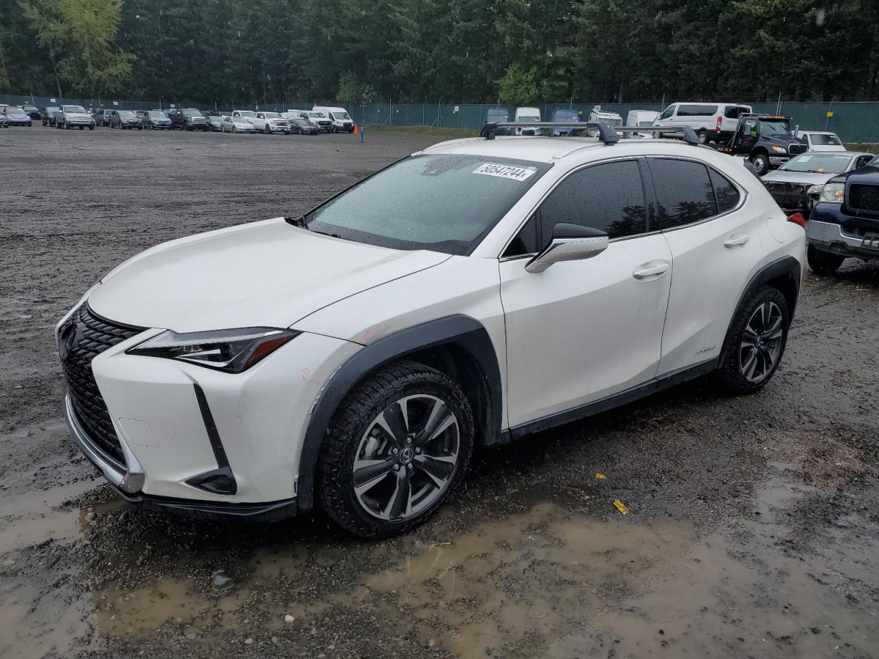 2020 LEXUS UX 250H