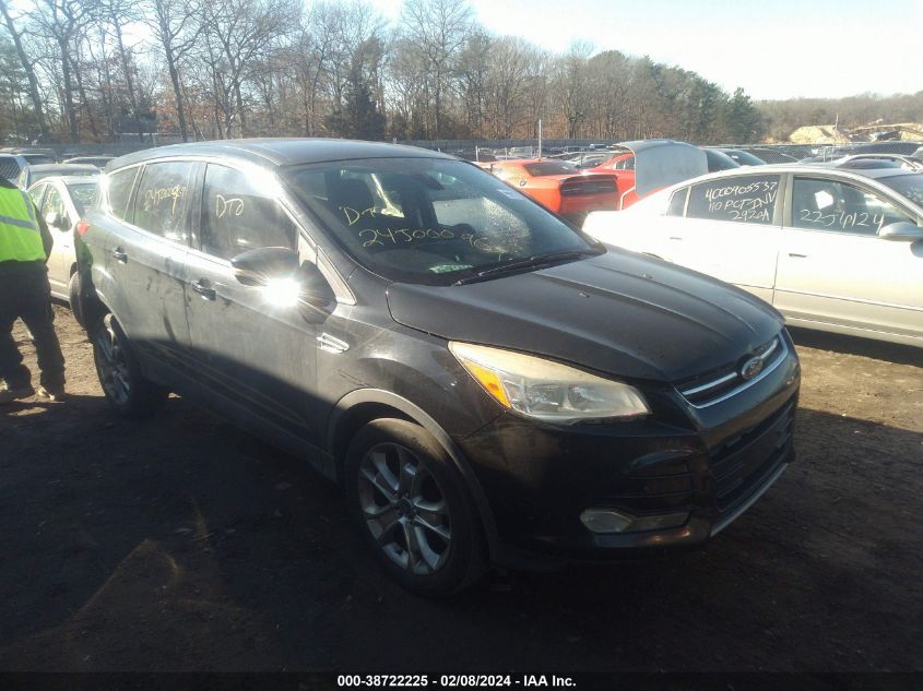 2013 FORD ESCAPE SEL