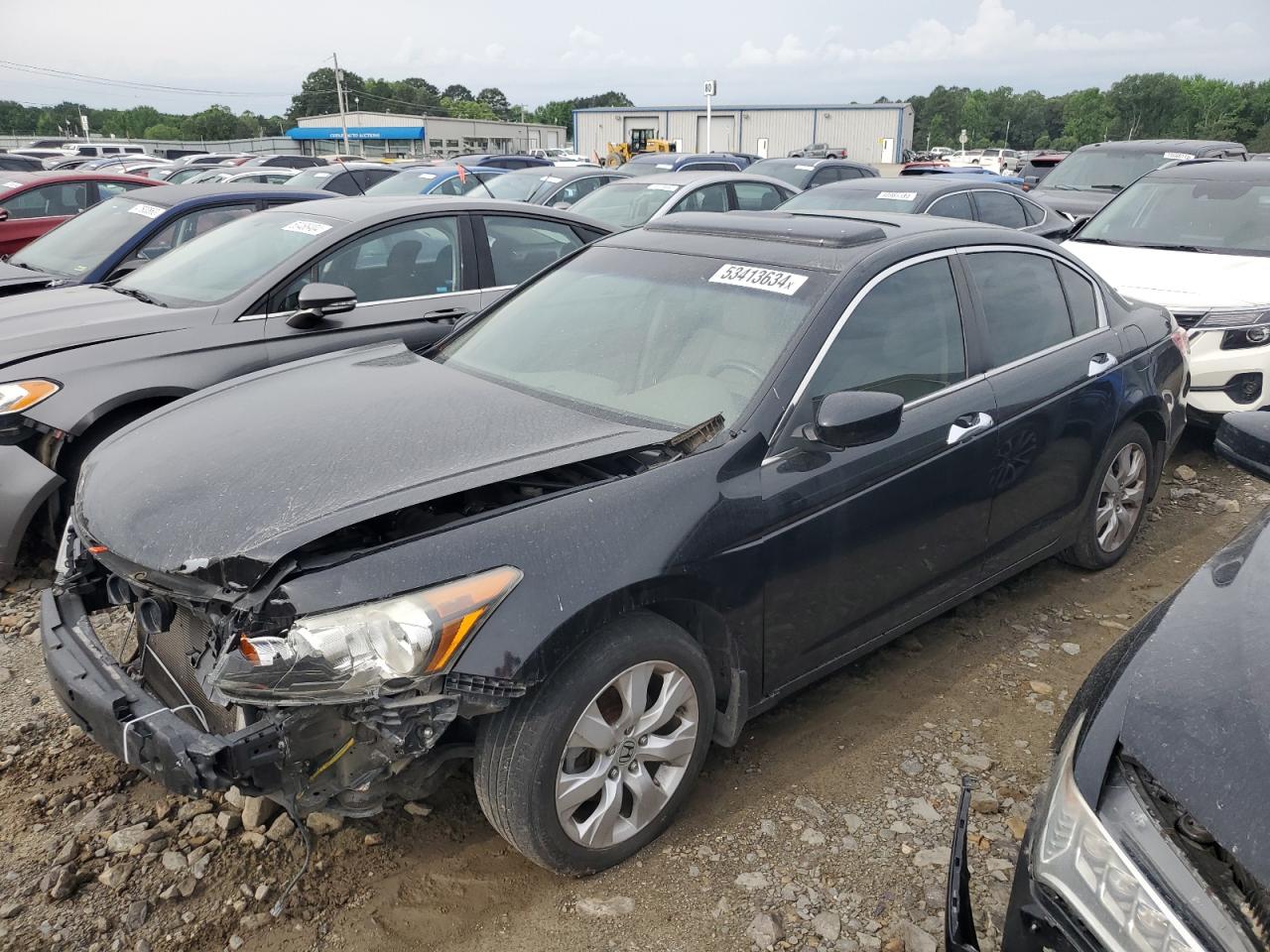 2010 HONDA ACCORD EXL