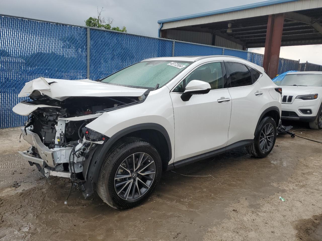 2024 LEXUS NX 250 PREMIUM