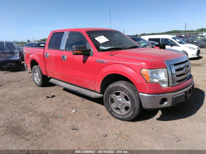 2010 FORD F-150 XLT