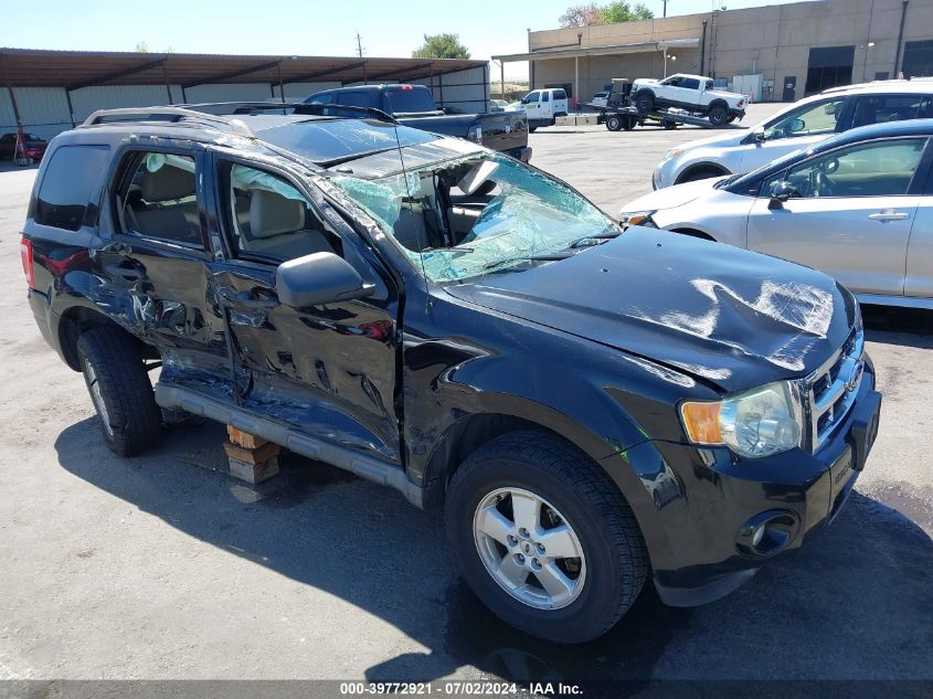 2010 FORD ESCAPE XLT