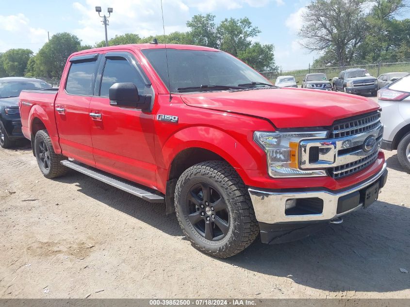 2019 FORD F-150 XLT