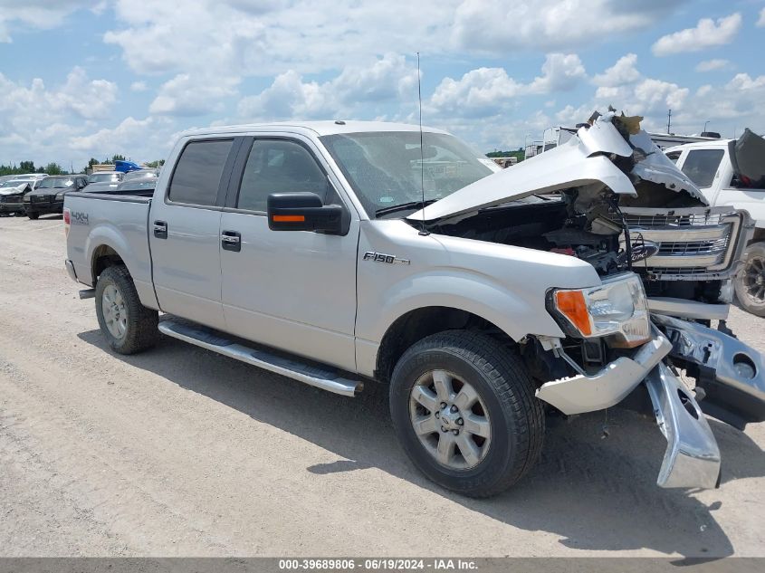 2013 FORD F-150 XLT