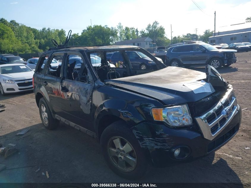 2012 FORD ESCAPE XLT