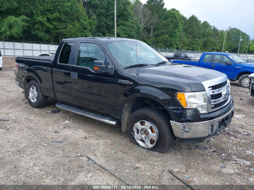 2013 FORD F-150 XLT