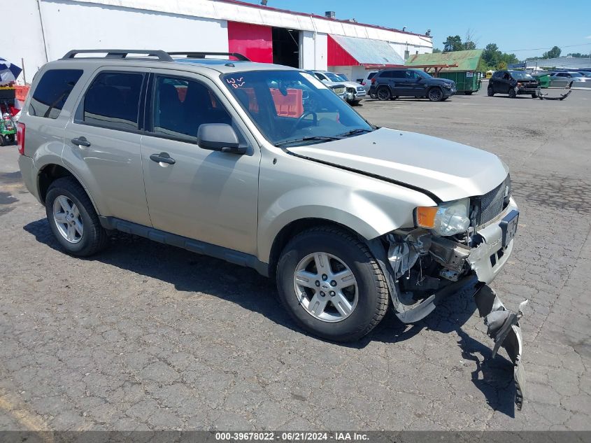 2010 FORD ESCAPE XLT