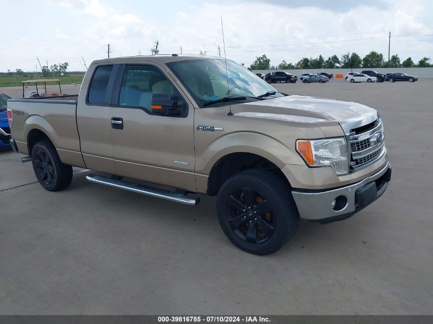 2013 FORD F-150 XLT