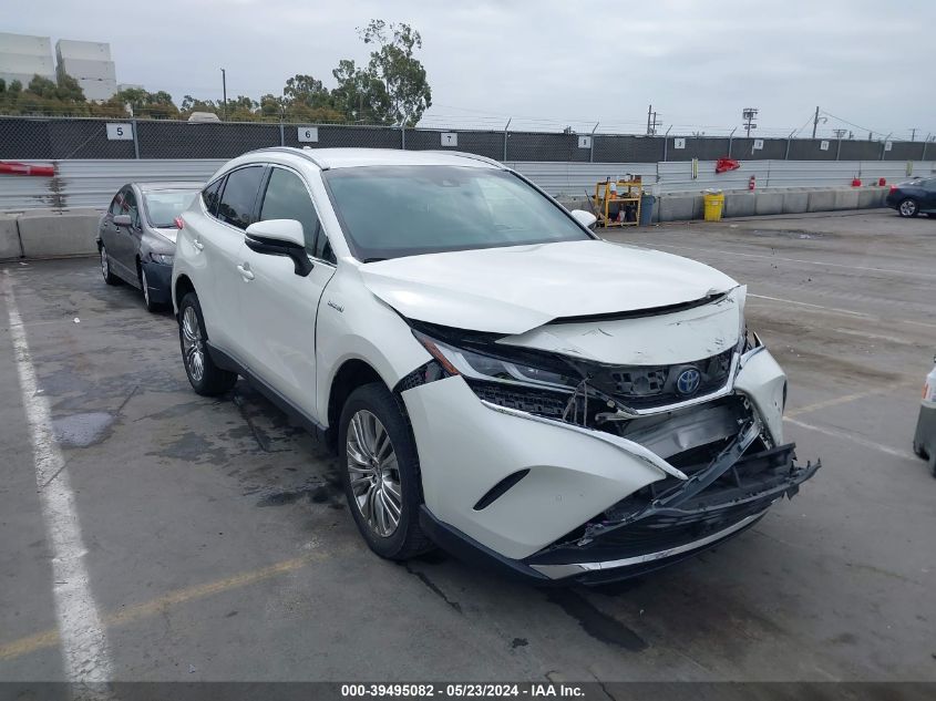 2021 TOYOTA VENZA XLE