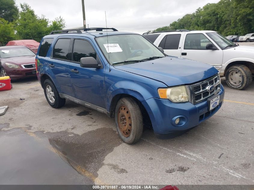 2010 FORD ESCAPE XLT