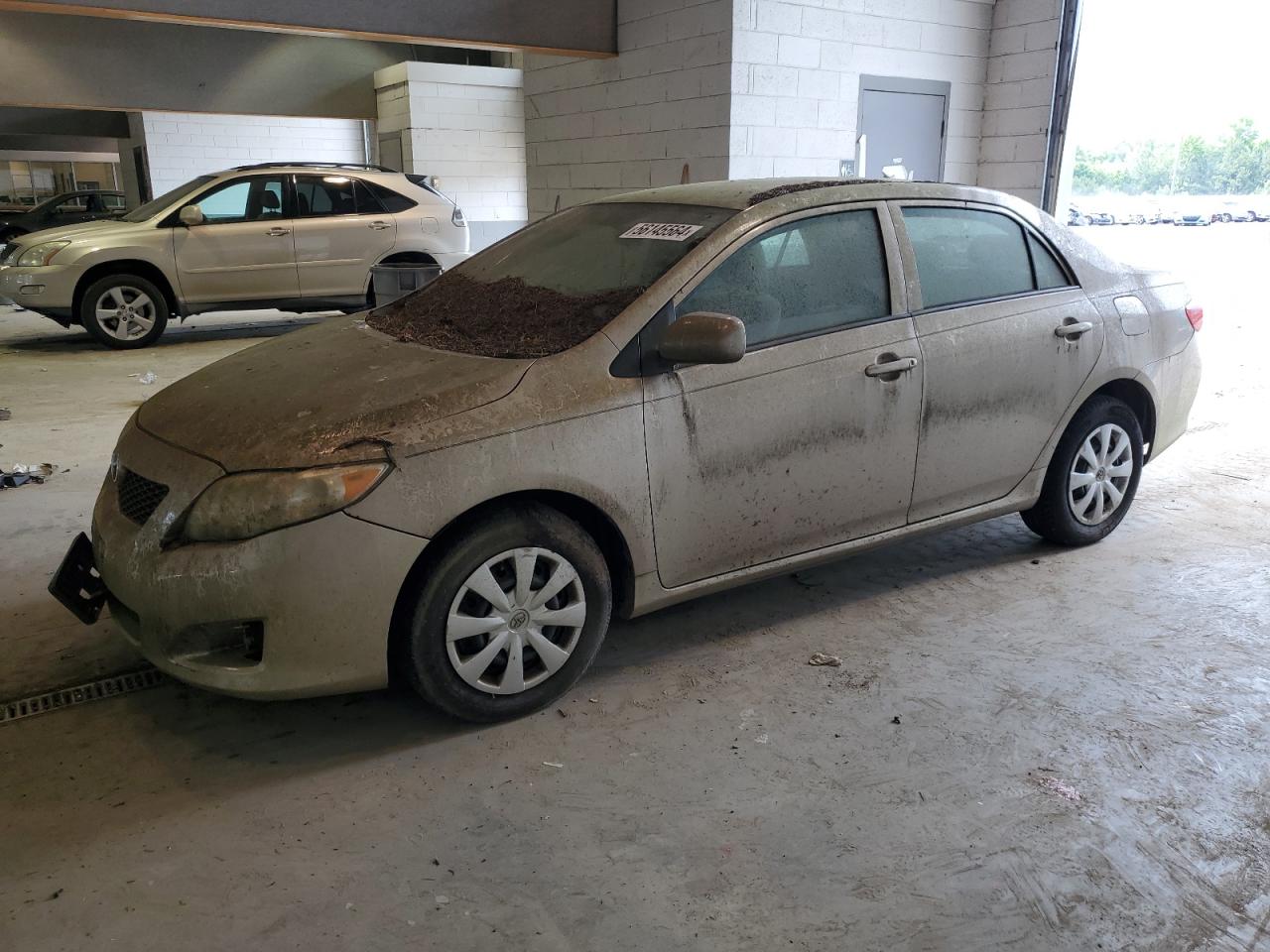 2010 TOYOTA COROLLA BASE