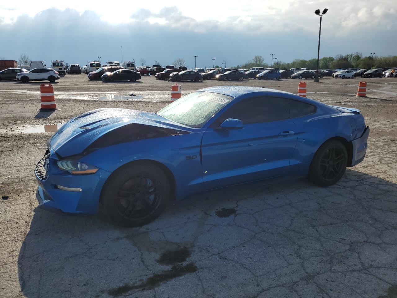 2019 FORD MUSTANG GT